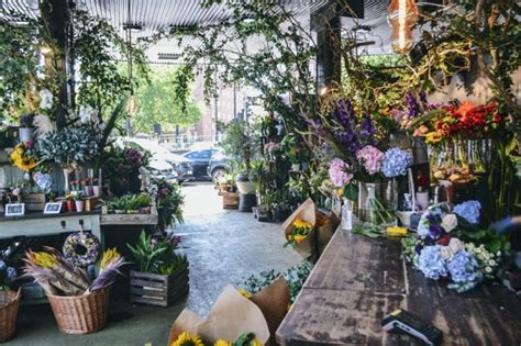 We did not find results for: Flower Station - London NW1 6XU - 60 reviews