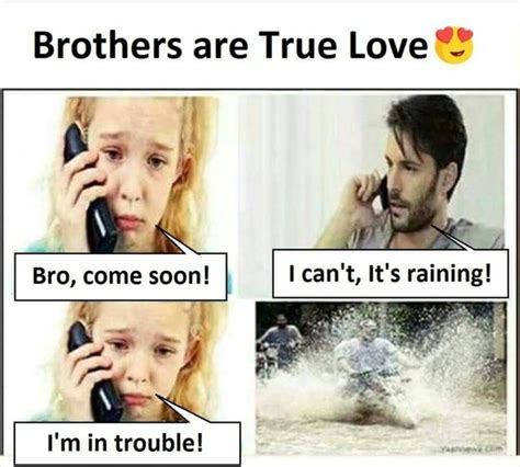 Sister Love Meme Web Lanse