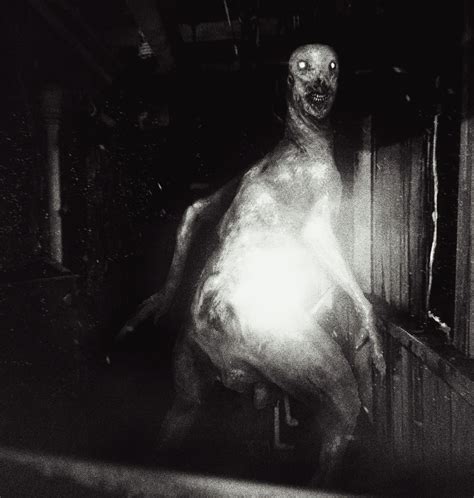 Scp 1399 Scarring
