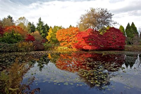 Vandusen Botanical Garden Vancouver Heritage Foundation