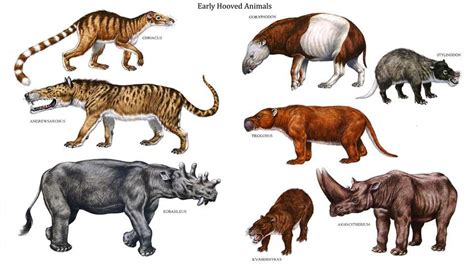 Stone Age Animals Pictures Animals Picture Animal Wallpaper