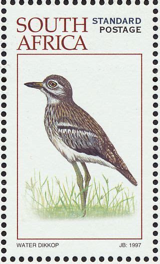 Water Thick Knee Stamps Mainly Images Gallery Format Africa