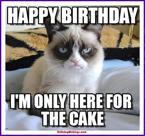 Images Of Funny Happy Birthday Memes The Cake Boutique