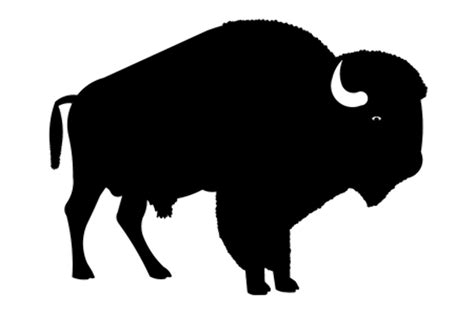 Download High Quality Buffalo Clipart Silhouette Transparent Png Images