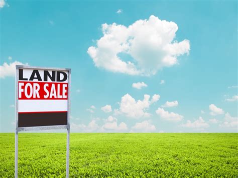 Selling Undeveloped Land Tips Challenges And Process Explained