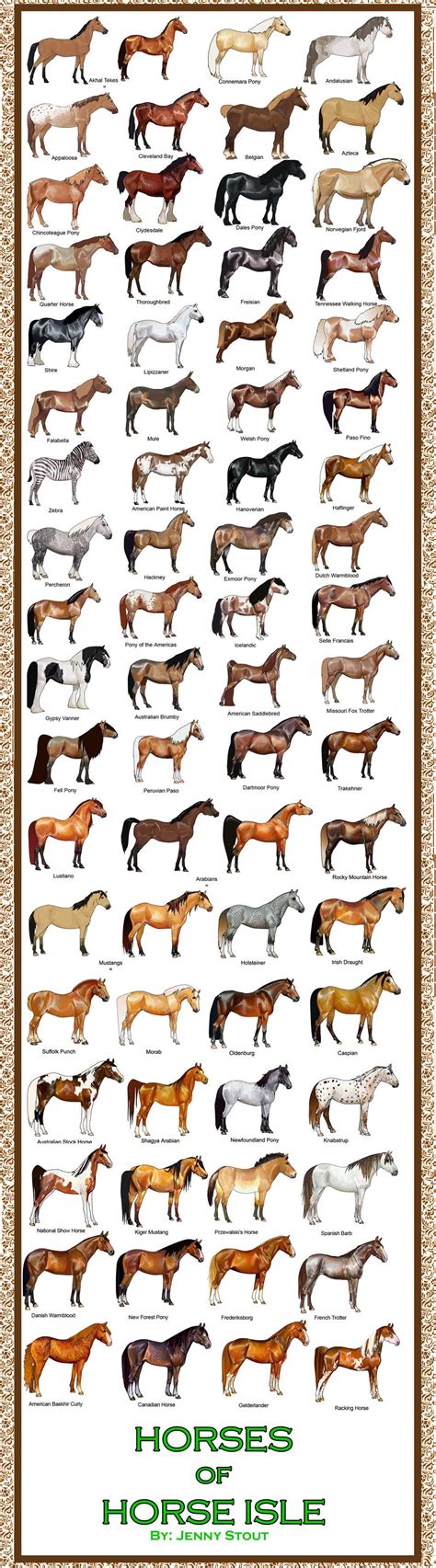 Breed Chart Horseisle 1 69 Horse Breeds Horses Pretty Horses