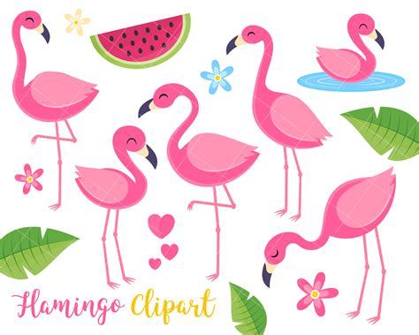 Flamingo Clipart Tropical Summer Clipart Birds Tropical Plants By