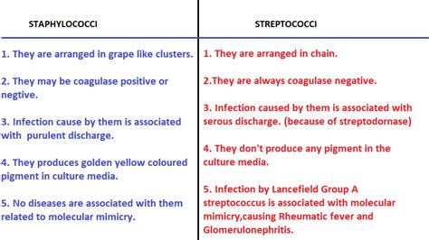 What Is Is The Difference Between Streptococci And Staphylococci