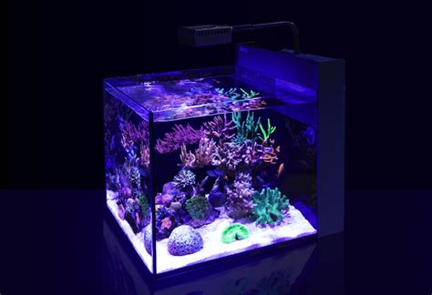 How To Set Up A Nano Reef Tank Reef Builders The Reef And Saltwater