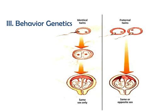 Ppt Chapter 3 Genetic Influences On Behavior Nature And Nurture Work Together To Shape Us