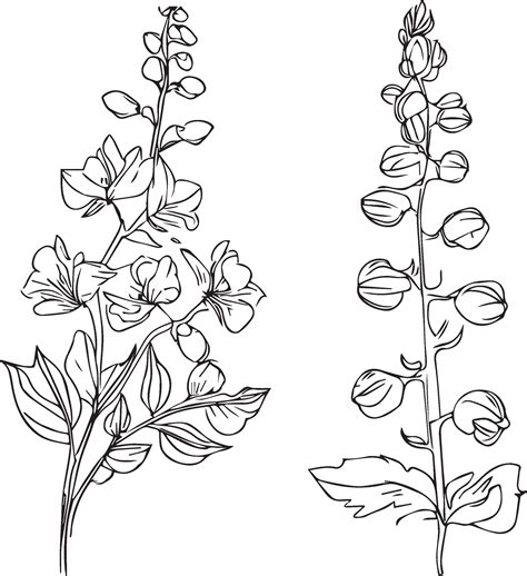 July Birth Flower Tattoo Black And White Best Flower Site
