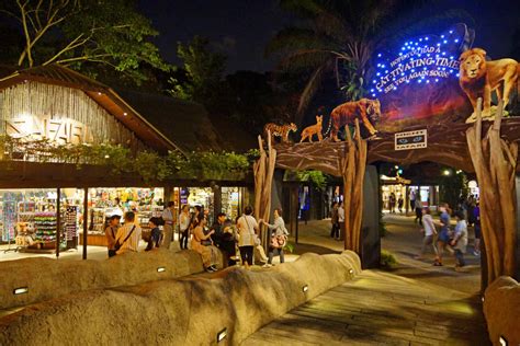 Singapore Night Safari In Singapore Cost When To Visit Tips And