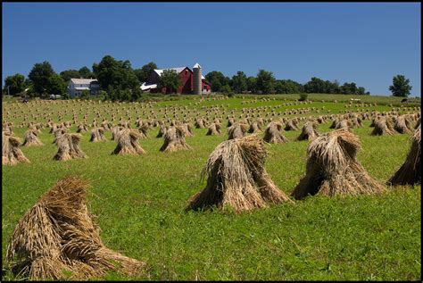 Ohio Amish Country Photo And Image Nature World