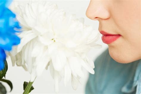 Tak pasti apa sebenarnya punca di sebalik kegatalan yang anda alami? Hidung Gatal Akibat Alergi? 7 Cara Mudah Untuk Hilangkan ...