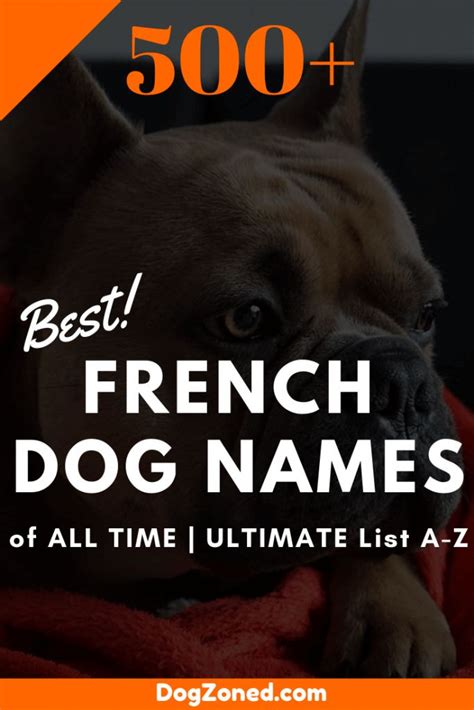 Best Male And Female French Dog Names Of All Time Ultimate List A Z