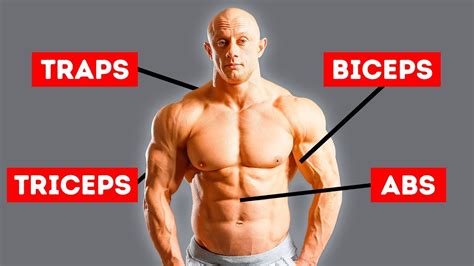 Only 3 Exercises To Hit Every Muscle In Your Body
