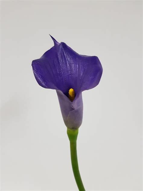 Calla Lilly X Large Purple Real Touch 67cm Desflora