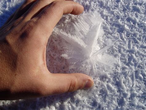 Largest Snowflake Ever This Is A Huge Flake Found On The L Flickr