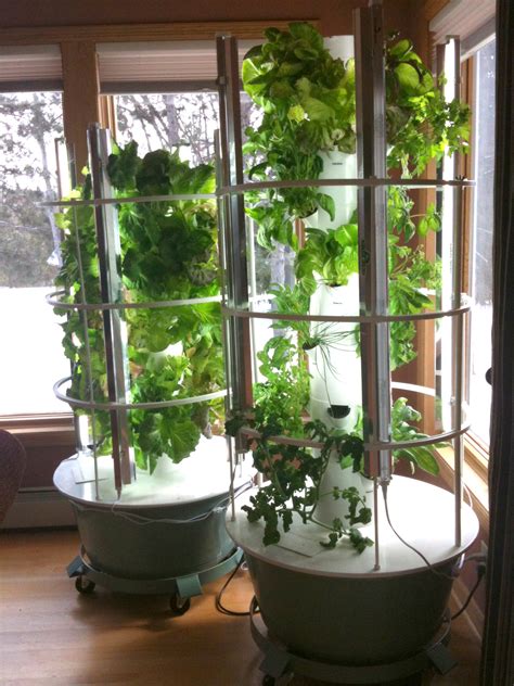 My Latest Healthy Obsession My Tower Garden Elemental