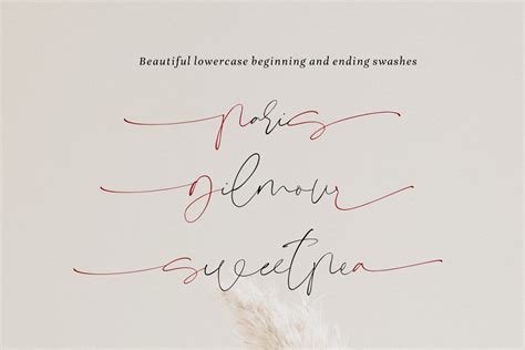 Signeritta Elegant Signature Stunning Script Fonts Creative Market