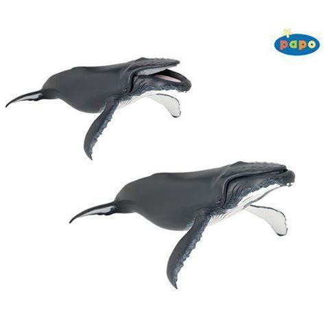 Plastic Whale Toy Ebay