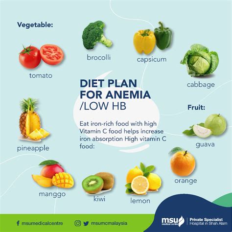 Diet Plan For Anemia Anemia Is A Msu Medical Centre