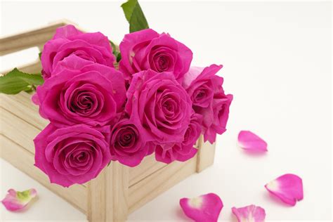 Bouquet Of Pink Roses Wallpaper 50182 Baltana