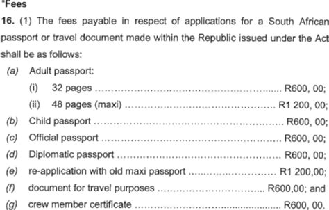 How Much New South African Passport Cost From 1 November