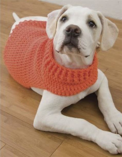 How To Crochet Easy Dog Sweaters Free Crochet Pattern — All Crochet Ideas