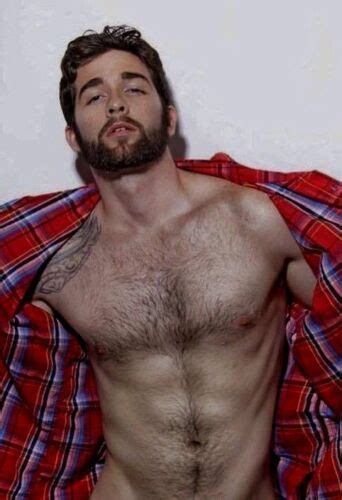 Shirtless Male Beefcake Muscular Hunk Hairy Chest Abs Trail Beard Photo