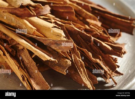 Mexican Cinnamon Bark Stock Photo Alamy