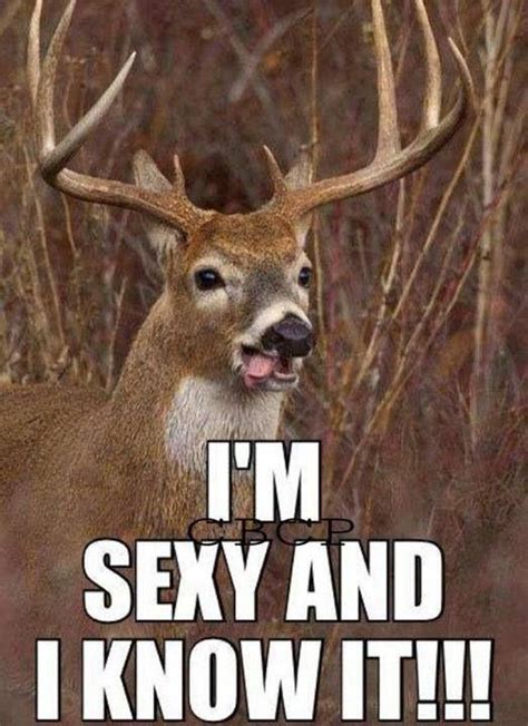 Hunting Deer Hunting Humor Hunting Memes Deer Hunting Memes