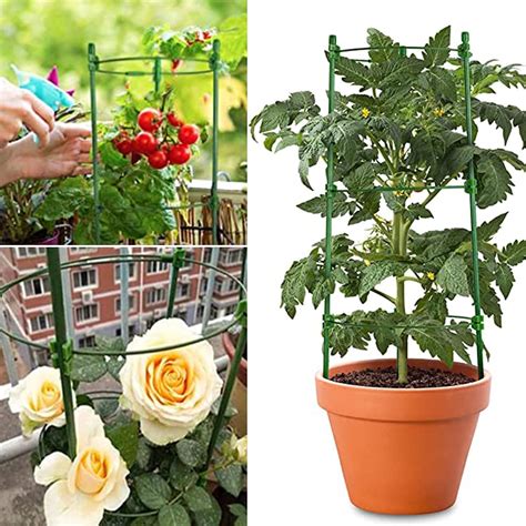 Mua Adjustable Tomato Cage Plant Support Cages 36 Inches Garden