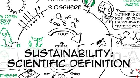 Sustainability definition: scientific & simple | Sustainability definition, Simple definition ...
