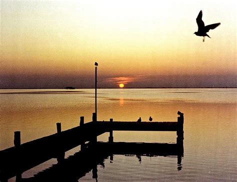 Intercoastal Sunset Photograph By Matthew Felder Fine Art America