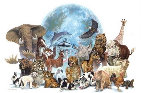 en la naturaleza podemos encontrar diferentes animales. | diversidad de