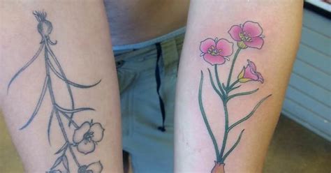 Sego Lilies By Gregg Quinn East Main Ink Bozeman Mt Imgur