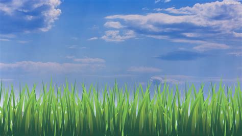 44 Grass Wallpapers Hd Backgrounds Free Download Baltana