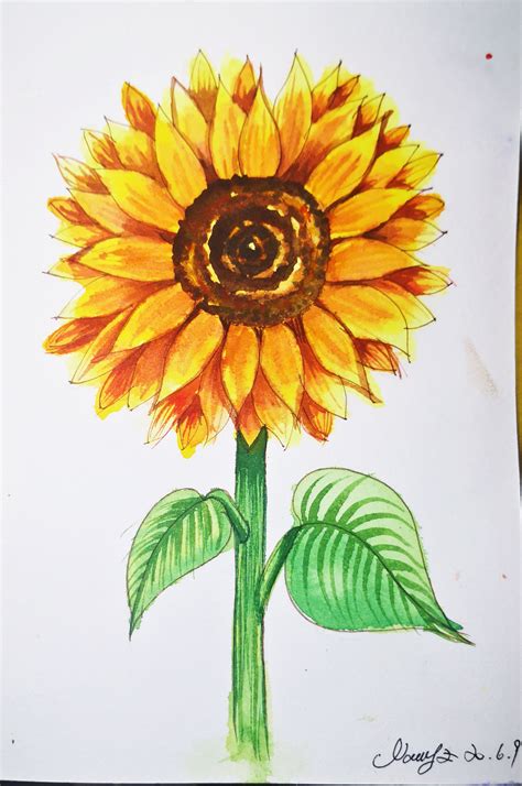 Super Easy How To Draw A Sunflower With Watercolor And Basic Line