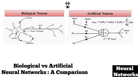 biological vs artificial neural networks a comparison neural network youtube