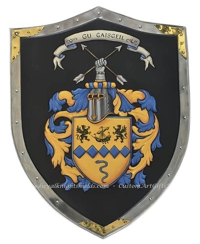 outdoor metal shield medieval knight shield