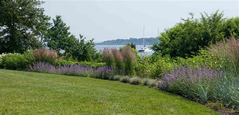 Tidy in the spring and watch out for self seeding. Ornamental Grasses | Ornamental grasses, Grass, Garden borders