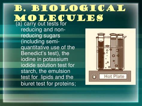 😍 Test For Non Reducing Sugars Biology What Is The Test