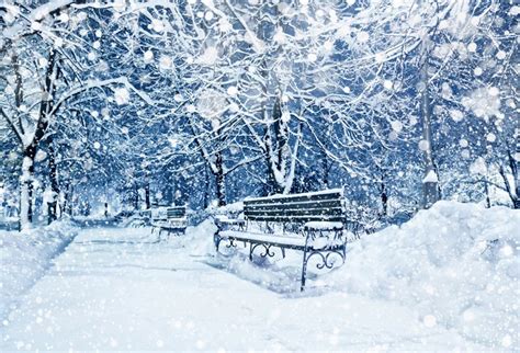 Laeacco Winter Snow Backdrop 8x6ft Vinyl Photography