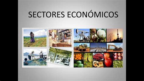 Sectores Economicos De Panamá Youtube