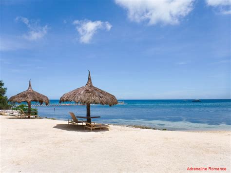 Bluewater Panglao Beach Resort A Luxurious Escape In Bohol Adrenaline Romance