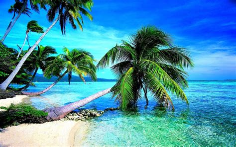 Pretty Beach Backgrounds Wallpaper Cave