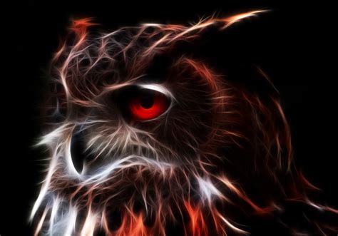 Wallpaper 3d Wallpapers Photo Picture Owl Eyes Fractal