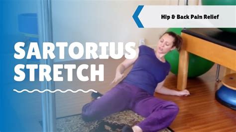 This article lists 15 best groin exercises and stretches to strengthen the groin muscles, reduce the inner thigh and groin areas are supported by muscles like the adductors, pectineus, iliopsoas, sartorius, etc. Pilates Exercise: Sartorius Stretch, Sartorius Muscle ...
