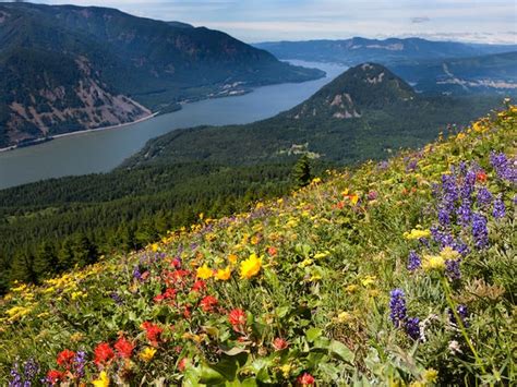 The Most Beautiful Rivers In The Us